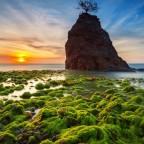 Картинка с подписью